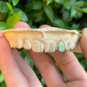 Single Tooth Opal Grillz - Water ATL